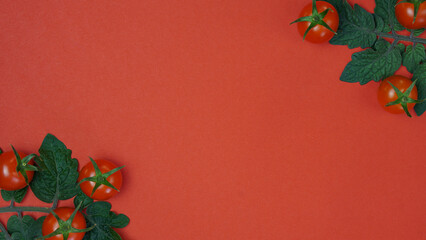 red ripe cherry tomatoes with leaves of a tomato plant on a red background. top view, copy space