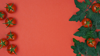 red ripe cherry tomatoes with leaves of a tomato plant on a red background. top view, copy space