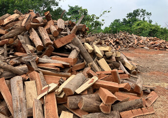 Stack of felled trees. Pine wood industry. Fallen trees