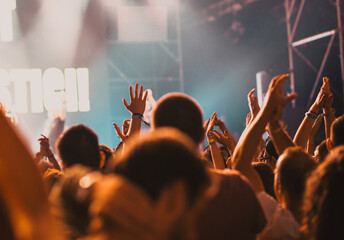 cheering crowd with raised hands at concert - music festival