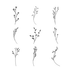 Hand drawn Set of botanical leaf doodle wildflower line art 