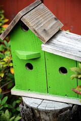 Colorful bird house feeder displayed outdoors.