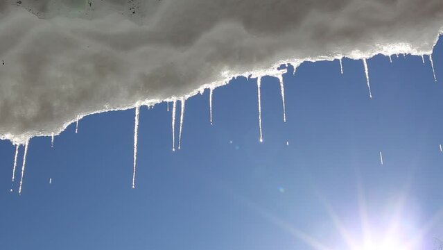 Bright melting icicles with the blue sky and sun in the background. Spring weather with thawing ice