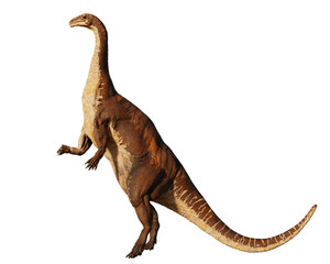 Plateosaurus, bipedal dinosaur from 214 to 204 million years ago, isolated on white background 
