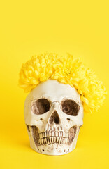 Human skull with flowers on yellow background