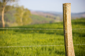 a barbed wire pasture fence in spring