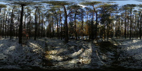 Winter Forest covered with snow HDRI Panorama