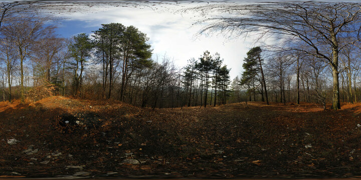 Polish, european forest landscape spherical HDRI panorama