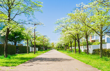 閑静な住宅街　多摩ニュータウン