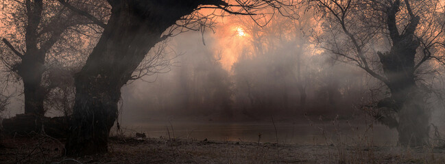 Fototapeta Creepy dark landscape showing forest beside misty swamp at autumn sunset obraz