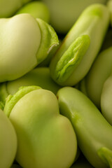 Fresh and raw green broad beans