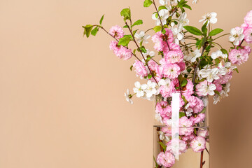 Vase with blooming branches near beige wall, closeup