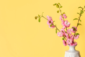 Vase with blooming branches near yellow wall, closeup