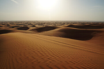 Fototapeta na wymiar Desert dunes in Arabia with a single vehicle track
