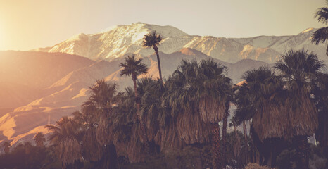 Palm Springs California Panoramic Landscape