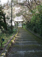 階段と鳥居