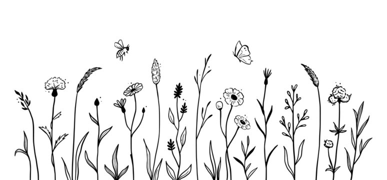 Wild field flower line set. Hand drawn doodle sketch style wild floral element for nature spring background. Flower, garden grass field outline vector illustration.