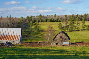 Farmscape, Queens County, Prince Edward Island, Canada