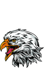 head of eagle vector high quality