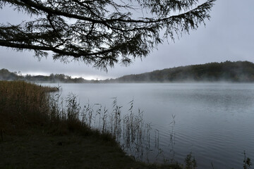 fog on the lake