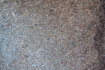 vintage background texture. old wood panels. High quality photo