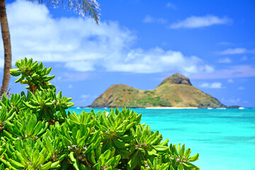 Turquoise waters on a clear sunny day at Lanikai Beach on the windward side of Oahu, Hawaii. 