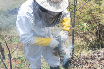 Beekeeper preparing the smoker to use on the honeycombs to stun the bees