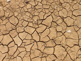 dry cracked earth