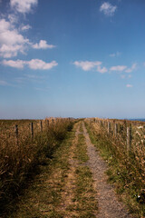 Obraz premium A path not yet taken