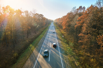Aerial view of intercity road with fast driving cars between autumn forest trees at sunset. Top...