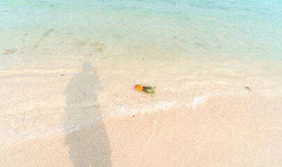 Obraz premium pineapple at sea in summer refreshing fruit