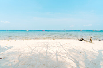 beach on a tropical island in the afternoon