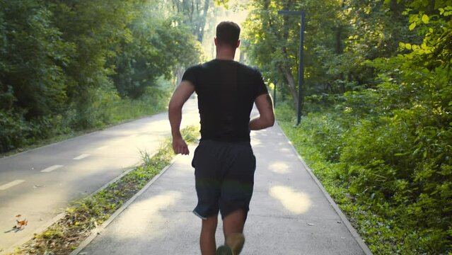 Back view shot of young active muscular guy jogging in morning, running on path in green park, sun flare