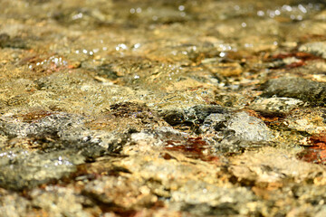 강원도 설악동 계곡 바위 물