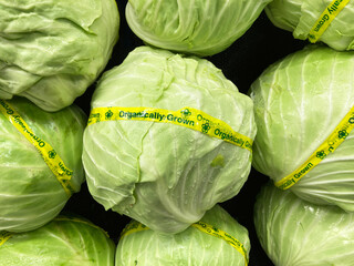 Fresh organically grown green cabbage on display in the vegetable section of a grocery store