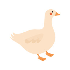 cute duck design