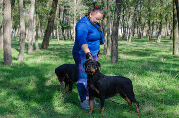 A woman in a blue sports uniform and two black dogs standing on green grass. Handler and adult female Rottweiler.