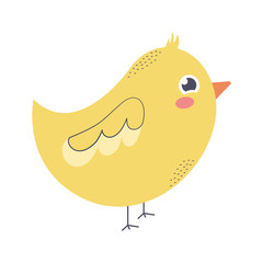 cute chick illustration