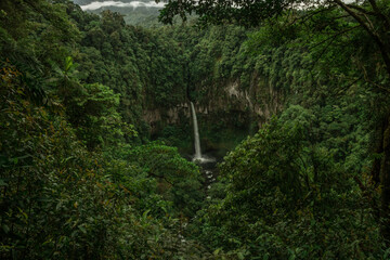 vertical shot of waterfall in the middle of the green vegetation of the tropical jungle of Costa Rica