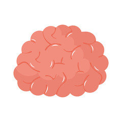 human brain icon