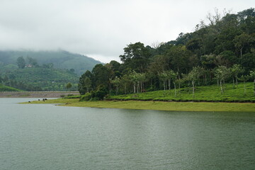 lake in the forest