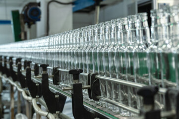 Conveyor belt carries clean glass bottles for alcohol drinks