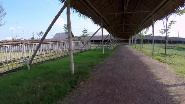 Point Of View Sheep Eating In Farm - Bangkok, Thailand