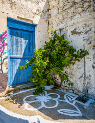 A small green vine deeply rooted next to the blue door of the old stone house. Karpathos island,...