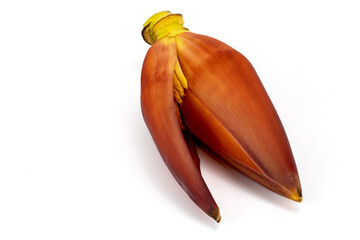Banana flower in its true color isolated in white background in different angles closeup shot using 100mm macro lens and studio lightings. 
