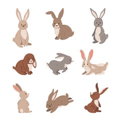 Set of  cute rabbits vector illustration.