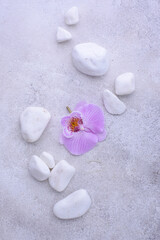 Spa concept. Natural beauty cosmetics