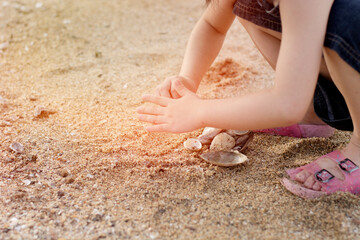 Kid playing with seashells  on the beach in summertime.