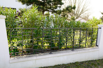modern aluminum fence of suburban house with garden view - obrazy, fototapety, plakaty