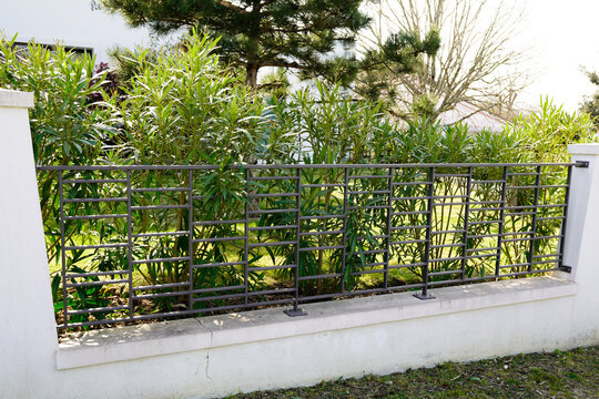 modern aluminum fence of suburban house with garden view